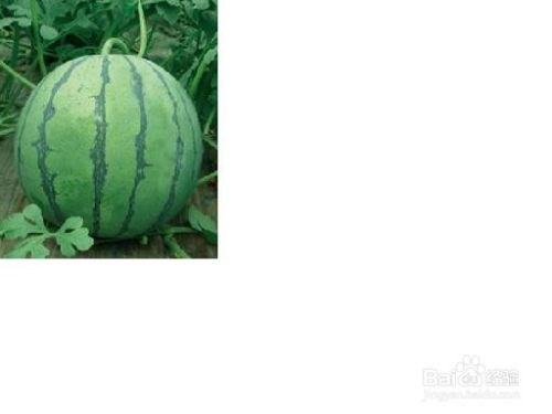 月华吃瓜事件,揭秘娱乐圈背后的真相与争议