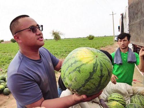 乌鲁木齐外出吃瓜