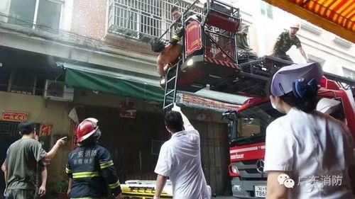 东莞大朗吃瓜现场,现场热闹非凡