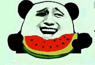 网友小郑吃瓜,揭秘娱乐圈那些不为人知的幕后故事