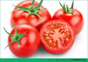 哈密瓜番茄一起吃