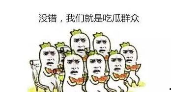 吃瓜群众正确的吃瓜方式