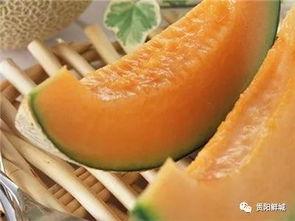 吃哈密瓜叫吃瓜群众吗,揭秘“吃瓜群众”的由来与演变