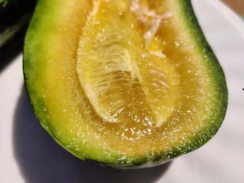 云里吃瓜,揭秘网络时代的虚拟娱乐盛宴