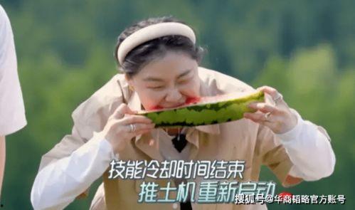 吃瓜不如努力,成就非凡人生