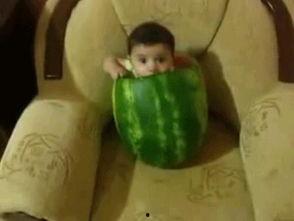 新闻河南吃瓜,揭秘背后真相与网络舆论的力量