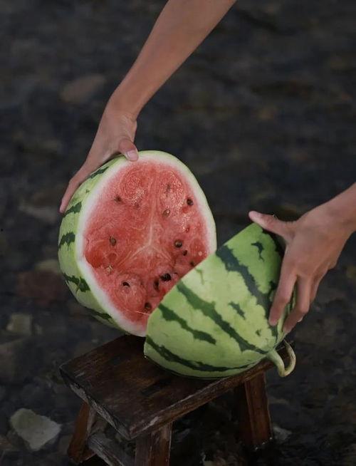 梦见在瓜地里吃瓜