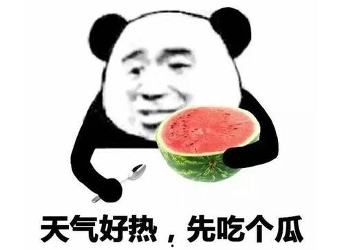 大妈专业吃瓜表情包